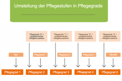Umstellung der Pflegestufen in Pflegrade
