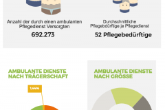 Allgemeine Situation in den ambulanten Pflegediensten - Pflegestatistik 2015