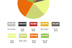 Situation der Pflegebedüftigen - Pflegestatistik 2015